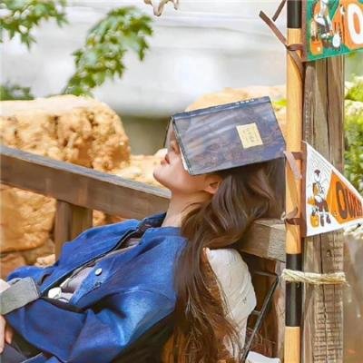 奈莉·拉普：怪物特工 海报